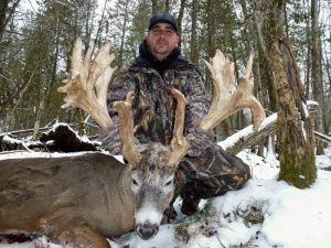 Wilderness Whitetails